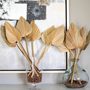 Dried Palm Leaves Pack of 5 Heart Oval Shape Dried Palm Spears